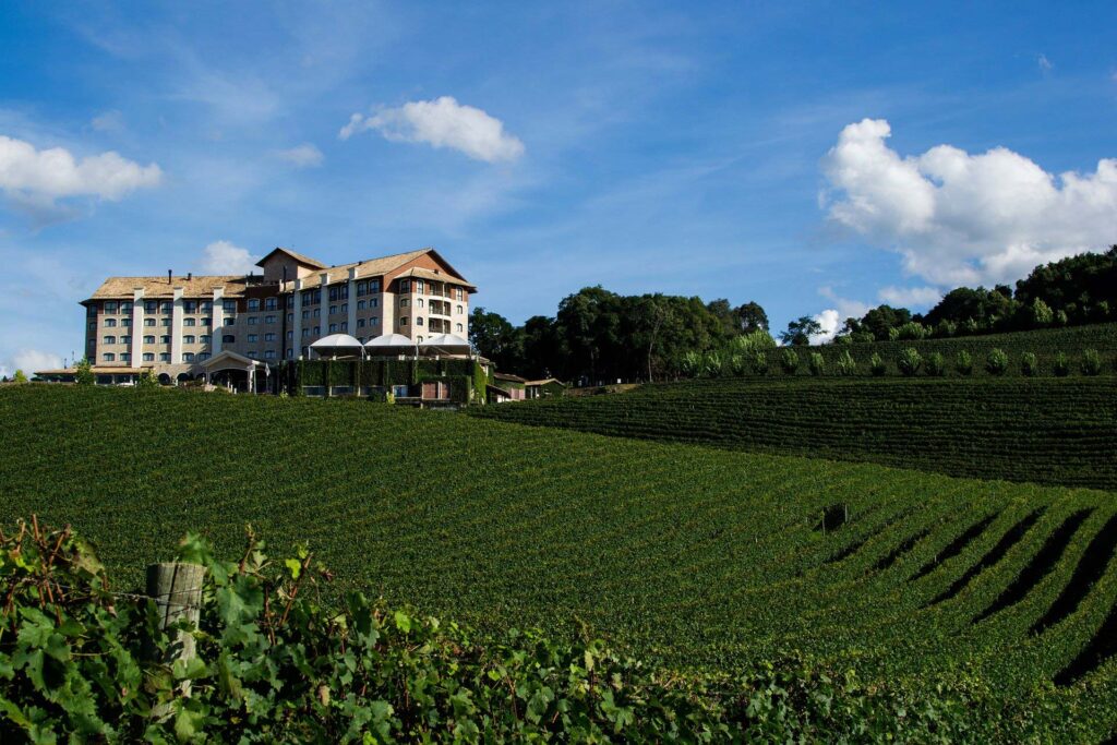 Foto de campo em Bento Gonçalves