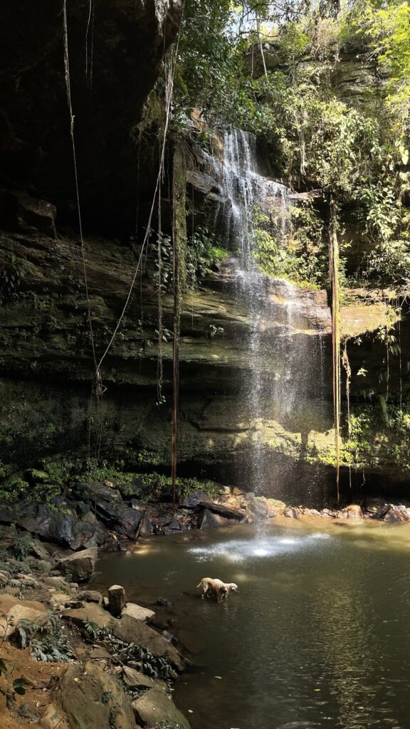 cachoeira araras