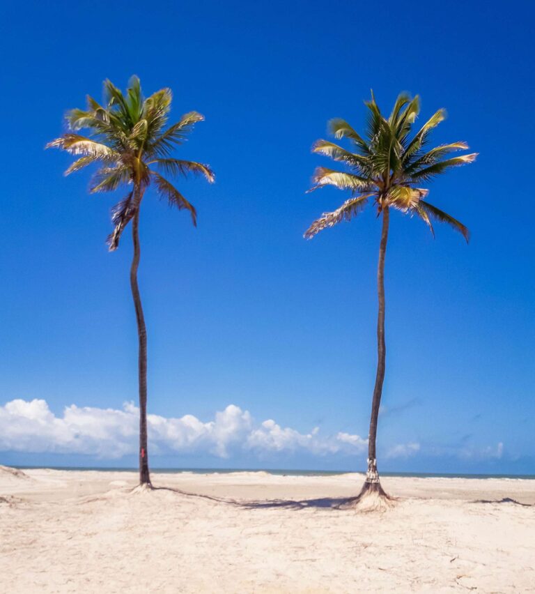 FOTO DE ARACAJU