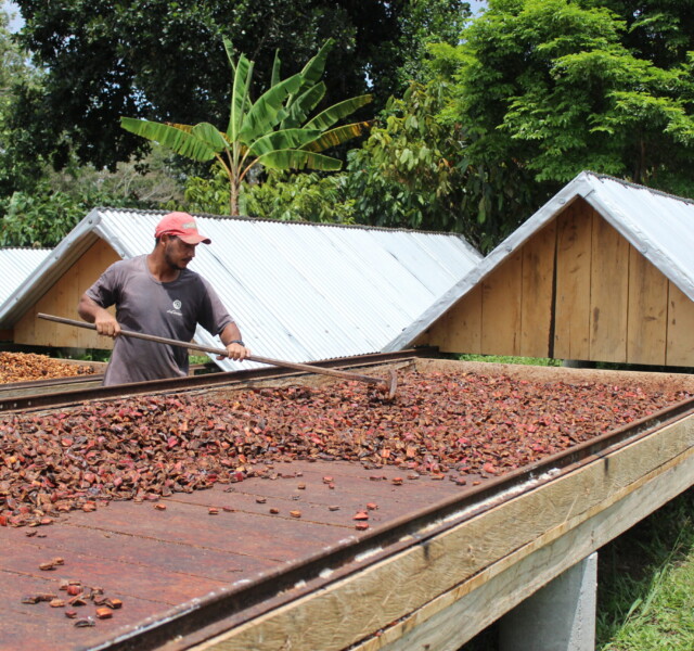Fazenda de Cacau em Ilheus